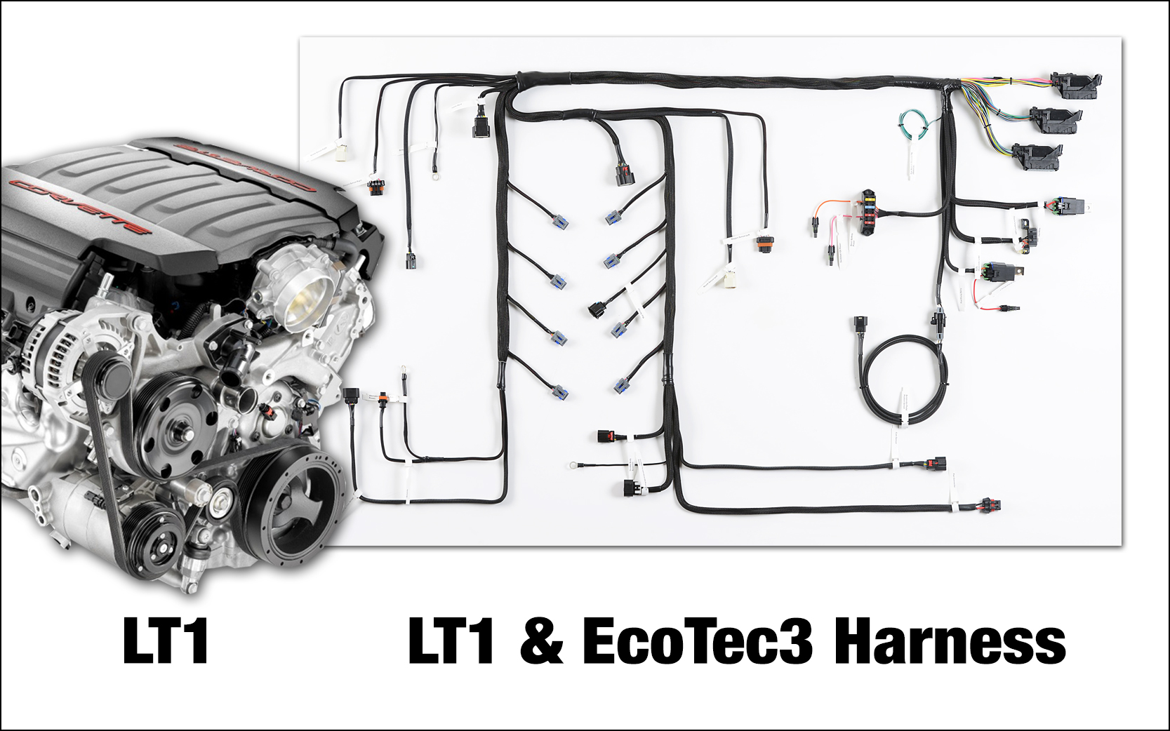 Howell EFI Now Offers LT1/LT4 and EcoTec3 Harnesses for Classic